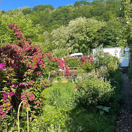 Blick Ins Gruene, Nah Am Zentrum Daire Trier