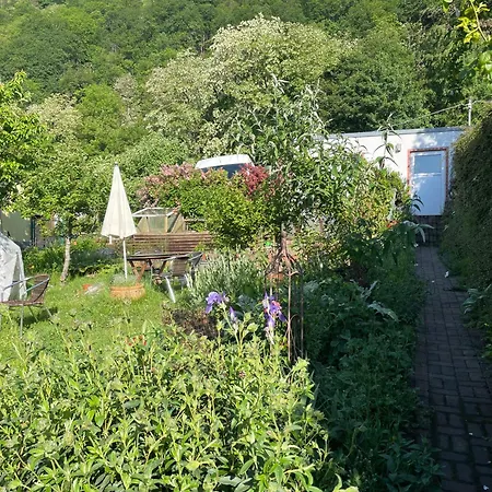 Apartment Blick Ins Gruene, Nah Am Zentrum *