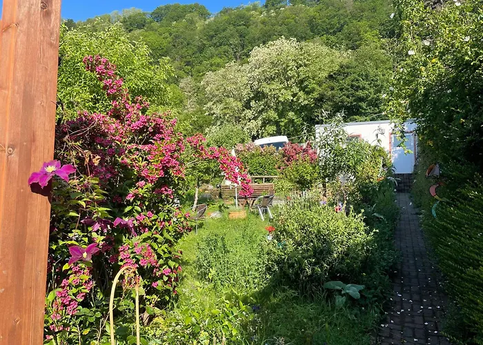 Blick Ins Gruene, Nah Am Zentrum Apartment Trier